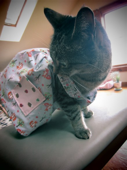 America's Next Top Model finalist