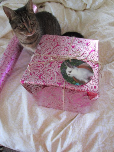 The Gift Fox