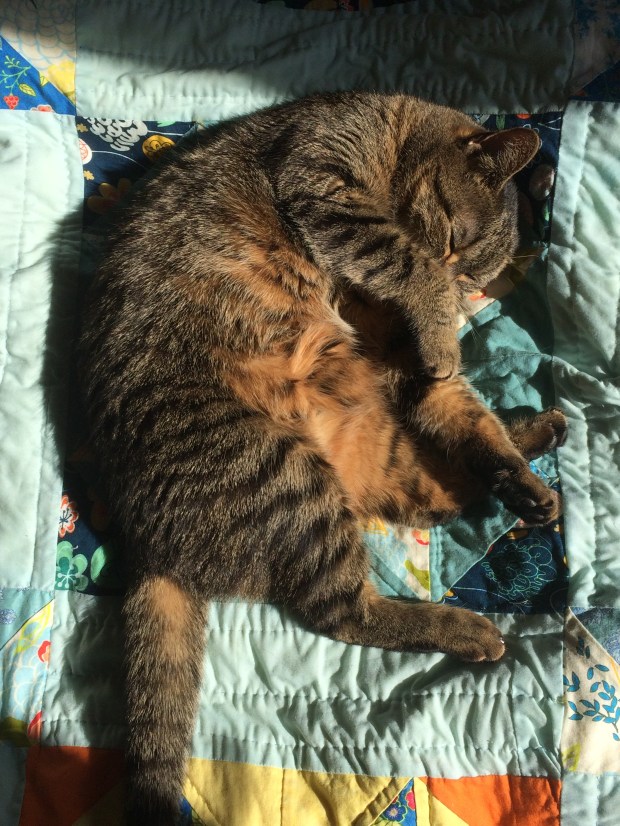 Quilting Muse - Gift Fox Quilts 2017