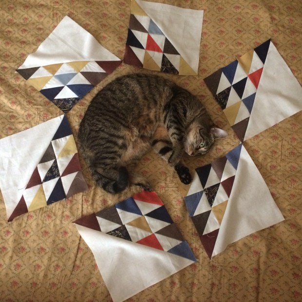 Gift Fox Quilts - Fall Migration Quilt